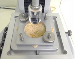 Flatbread sample located in the TMS extensibility fixture