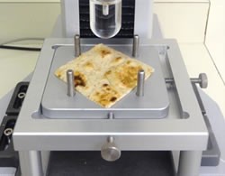 Flatbread sample of test fixture